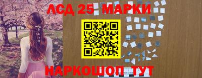 гидропоника Чебоксары