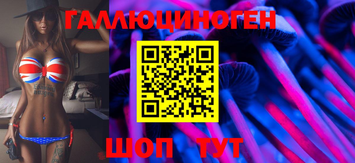 Галлюциногенные грибы Psilocybe  Псилоцибиновые грибы мицелий  Богородск  Вход с VPN 