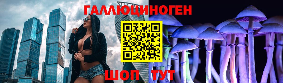 Галлюциногенные грибы прущие грибы Богородск